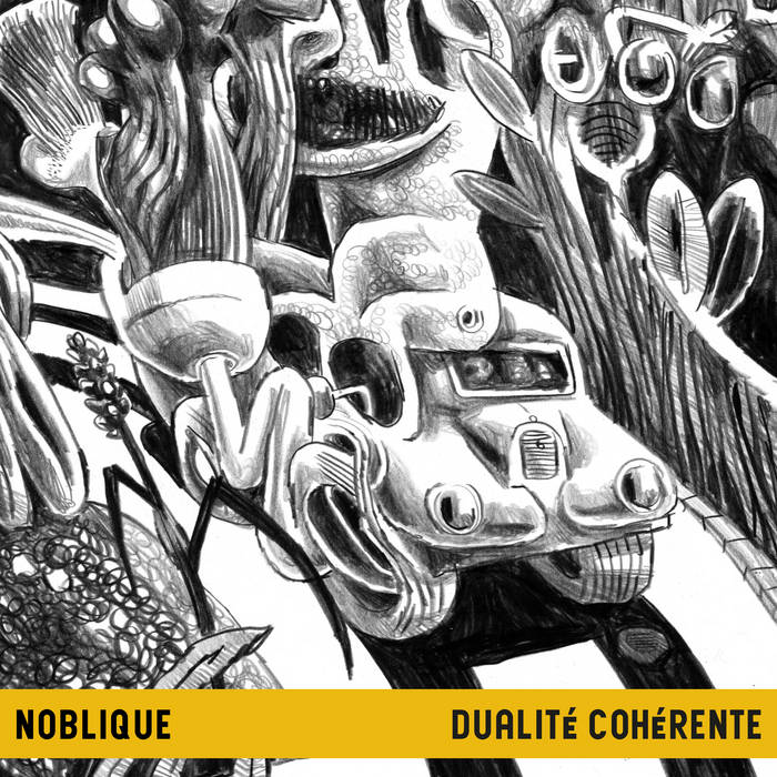 Noblique Dualité cohérente